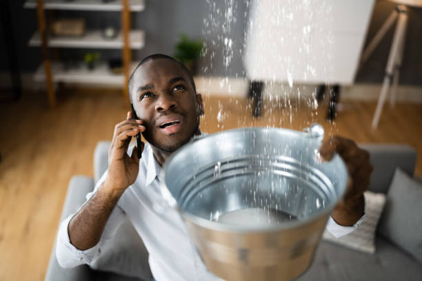 Best Water damage restoration services  in Madison, NE