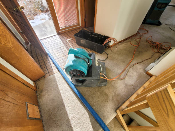 Best Flood damage cleanup  in Madison, NE