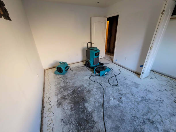 Best Water damage restoration process  in Madison, NE