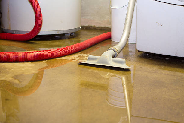 Best Water damage mitigation services  in Madison, NE