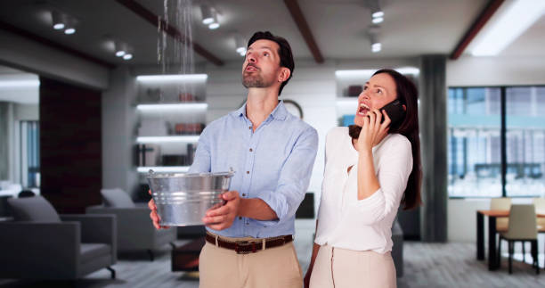 Best Basement water damage restoration  in Madison, NE